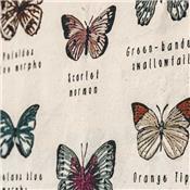 Kit créatif broderie School Poster - Butterflies