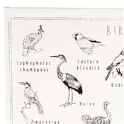 Kit créatif broderie School Poster - Birds