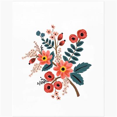 Petite Affiche illustrée - Coral Botanical