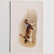Carte postale Ludom édition - Chat jongleur