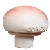Jouet de bain et de dentition oli and carol - Manolo le champignon