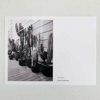 Photographie 20 x 15 cm Noir et Blanc - Barcelone, Passeig de Gracia