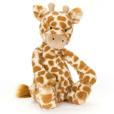 Peluche girafe Bashful Medium JELLYCAT l www.little-home.fr Peluche Enfant