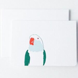Carte Perroquet vert Miami LE TYPOGRAPHE l www.little-home.fr carte postale carte anniversaire papeterie