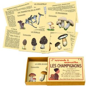 Reconnaître les champignons MARC VIDAL l www.little-home.fr Jeu ancien