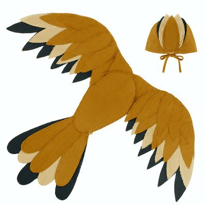 Ailes d'oiseau Costume enfant de Phoenix NUMERO 74