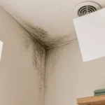 Cette tache noire dans l&rsquo;angle du mur n&rsquo;est pas forcément un défaut d&rsquo;isolation mais le signe d&rsquo;une VMC qui n&rsquo;aspire plus ailleurs dans le logement